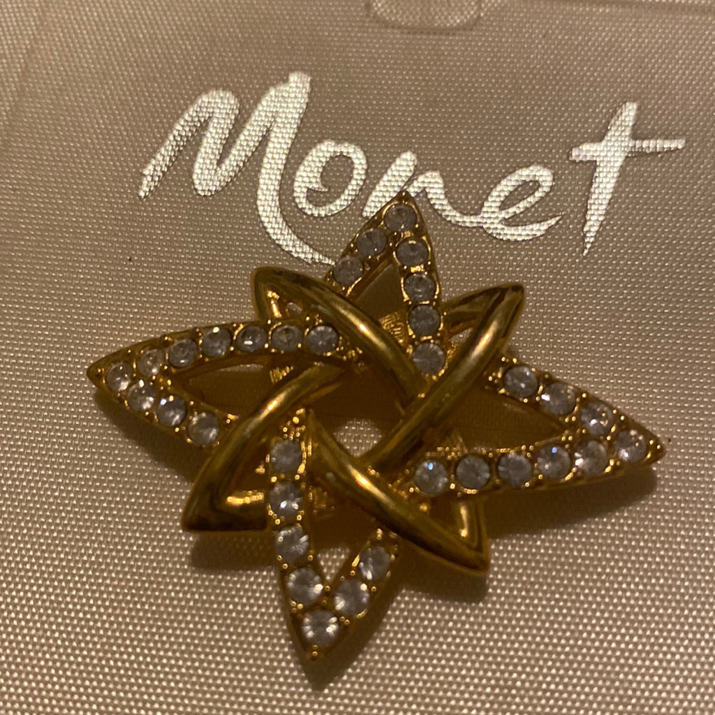 Monet Brooch Pm 651